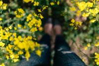 Kaboompics - Woman with vintage camera in the field of blooming rapes