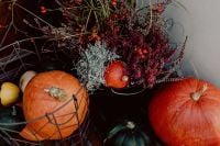Kaboompics - Pumpkins and flowers as decoration on stairs