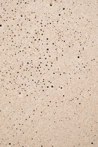 Kaboompics - Pale Porous Limestone with Dark Mineral Pits, Coastal Stone Texture Background