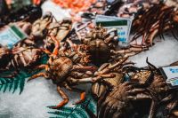 Kaboompics - Spiny Crabs on Crushed Ice at La Boqueria Market