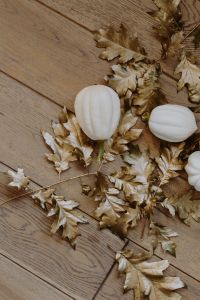 Kaboompics - White pumpkins with golden oak leaves