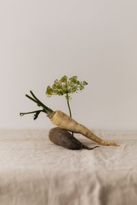 Organic Still Life with Vegetables and Herbs – Natural Food Styling