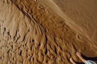 Kaboompics - The abstract line designed by water up on sand texture