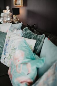 Kaboompics - Black Cat Curled Among Blue Sofa Cushions in a Cozy Living Room