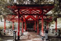 Kaboompics - Red Garden Pavilion with White Benches Under Tree Canopy