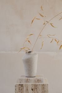 Kaboompics - Textured White Vase with Dried Grass