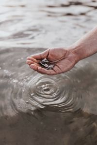 Kaboompics - Hand holding sea shells