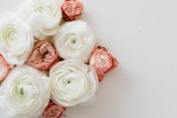 Kaboompics - White and Blush Ranunculus Along Left Edge of a Beige Floral Background