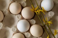 Kaboompics - Pastel Eggs in Egg Carton with Spring Flowers