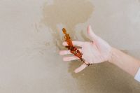 Kaboompics - Hand Holding Seaweed on Wet Beach Sand With Copy Space