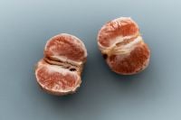 Kaboompics - Pink Grapefruit Halves on Blue Background
