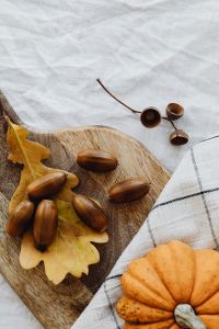 Kaboompics - Acorns and Oak Leaves on a Wooden Board with Orange Pumpkin