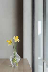 Kaboompics - Yellow Daffodils in a Textured Glass Vase beside a Sunlit Home Office Window