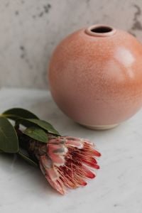 Kaboompics - Minimal Floral Composition with Folded White Textile