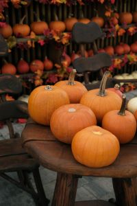 Kaboompics - Orange Pumpkins on Rustic Chairs with Autumn Leaves