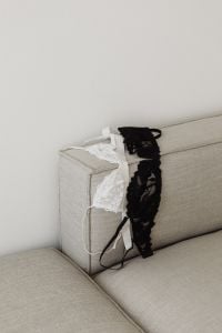 Kaboompics - Black and White Lace Bra on a Sofa