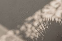 Kaboompics - Whispers of Beige - Captivating Shadow Backgrounds and Wallpapers in Warm Hues