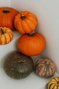 Kaboompics - Close-Up Orange Pumpkins on a White Background