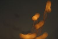 Kaboompics - Blurred Golden Orange Light Streaks on a Dark Abstract Background