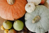 Kaboompics - Horizontal Close-Up of Pumpkins, Green Pears and Striped Squash on Plaid, Autumn Harvest Background