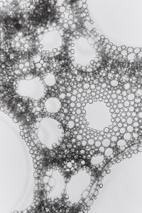 Kaboompics - Bubble Pattern With High Contrast Circular Composition