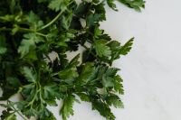 Kaboompics - Fresh Flat-Leaf Parsley Bunch on White Surface, Overhead Herb Photo for Recipe and Food Styling