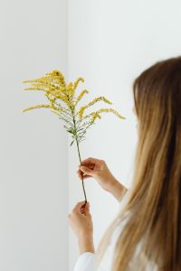 Kaboompics - A young girl holds a branch of goldenrod