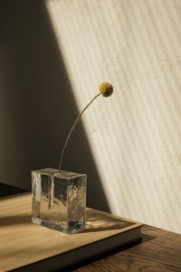 Kaboompics - Minimalist Glass Vase with Dried Flower in Warm Window Light
