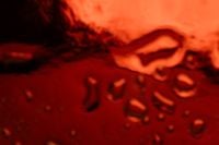 Kaboompics - Dark Red Water Droplets Abstract Glass Texture