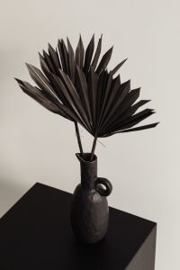 Kaboompics - Two Dried Palm Fans in a Matte Black Vase on a Pedestal, Minimal Home Decor
