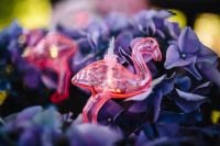 Kaboompics - Flamingo light garland & pink flowers