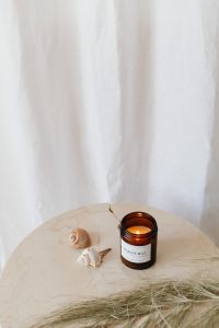 Kaboompics - Amber Candle with Dried Smoke Bush and Seashells