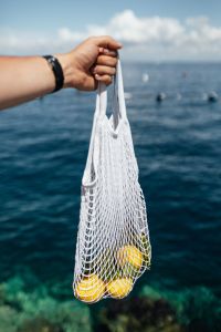 Kaboompics - Wristband and Net Bag of Lemons over Open Water