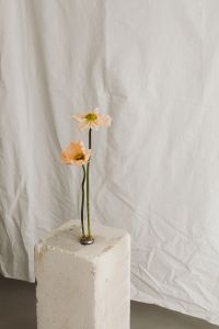 Kaboompics - Abstract Floral Detail against a Light Textile Background