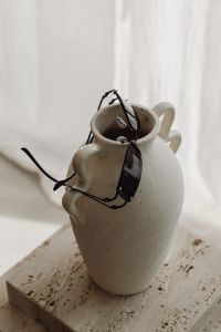 Kaboompics - Black Sunglasses on a White Ceramic Vase