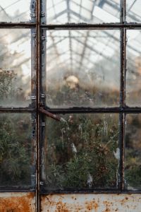 Kaboompics - Rusty Greenhouse Window Frame with Blurred Plants Beyond