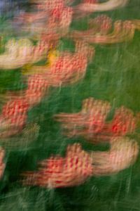 Kaboompics - Red and Coral Flower Clusters in Abstract Blur
