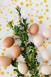 Kaboompics - Overhead Easter Egg Flat Lay with Spring Greenery