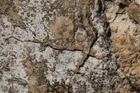 Kaboompics - Fractured Beige Rock Formation with Deep Narrow Fissures