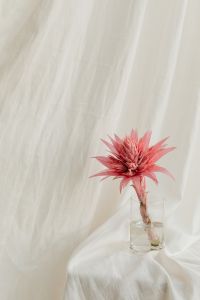 Kaboompics - White Linen Fabric with Soft Folded Texture