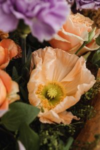 Kaboompics - Pale Peach Flower and Rose Floral Arrangement