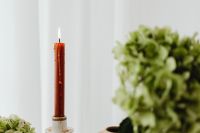 Kaboompics - Green Hydrangea with Candle on Marble