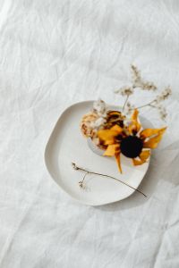 Kaboompics - Overhead Dried Sunflower and Baby's Breath on Ceramic Plate for Botanical Flat Lays