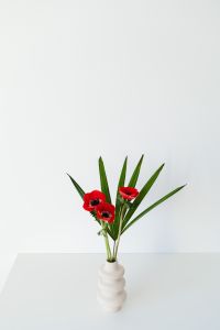 Kaboompics - Vertical Red Poppies and Palm Leaves in a White Vase