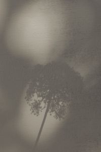 Kaboompics - Bright and warm free backgrounds or wallpapers