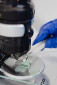 Kaboompics - Microscope Setup for Student Science Project