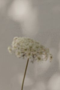 Kaboompics - Bright and warm free backgrounds or wallpapers