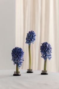 Kaboompics - Three Blue Hyacinth Blooms with Central Focus and Soft Curtain Backdrop