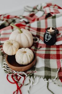 Kaboompics - Close-Up of White Pumpkin and Black Candle on Red Plaid Blanket