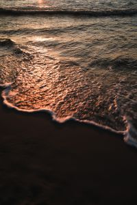 Kaboompics - Sunset Reflection on a Foamy Shoreline